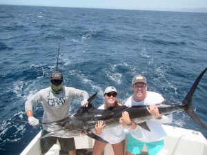 Striped Marlin fished in Cabo San Lucas on 8/07/19