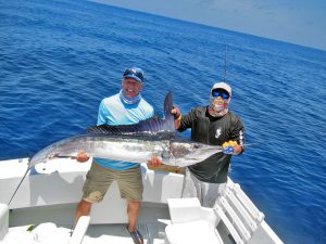 Striped Marlin fished in Cabo San Lucas on 8/09/19