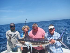 Striped Marlin fished in Cabo San Lucas on 8/11/19