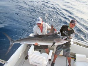 Striped Marlin fished in Cabo San Lucas on 8/20/19