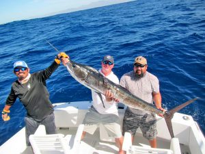 Striped Marlin fished in Cabo San Lucas on 8/25/19