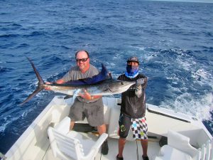 Blue Marlin fished in Cabo San Lucas on 9/1919