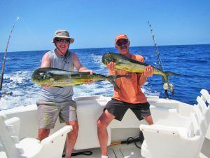 Dorado fished in Cabo San Lucas on 9/9/19