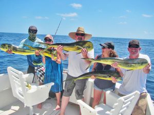 Dorado fished in Cabo San Lucas on 9/10/19