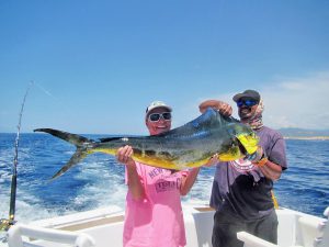 Dorado fished in Cabo San Lucas on 9/14/19