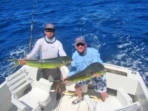 Dorado fished in Cabo San Lucas on 9/24/19