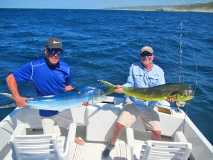 Dorado fished in Cabo San Lucas on 9/26/19