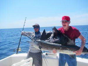 Pacific Sailfish fished in Cabo San Lucas on 9/02/19