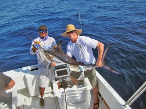 Striped Marlin fished in Cabo San Lucas on 8/30/19