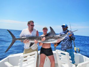 Striped Marlin fished in Cabo San Lucas on 9/05/19