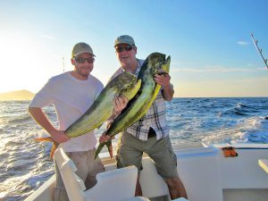 Dorado fished in Cabo San Lucas on 9/16/19
