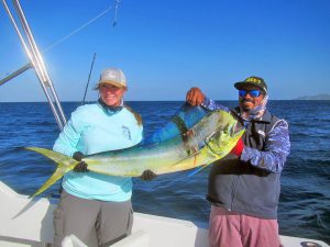 Dorado fished in Cabo San Lucas on 10/02/19