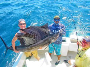 Pacific Sailfish fished in Cabo San Lucas on 10/05/19