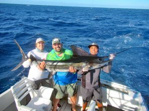 Striped Marlin fished in Cabo San Lucas on 10/4/19