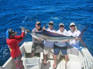 Striped Marlin fished in Cabo San Lucas on 10/6/19