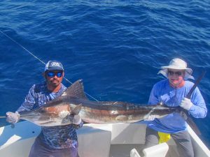 Striped Marlin fished in Cabo San Lucas on 10/16/19