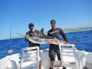 Striped Marlin fished in Cabo San Lucas on 10/23/19
