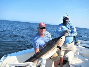 Caught  and released 90 and 130 and 110 lb Striped Marlin in Cabo San Lucas on 6/3/21
