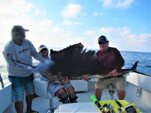 Catch and release 120 pound Striped Marlin in Cabo San Lucas on 7/30/21