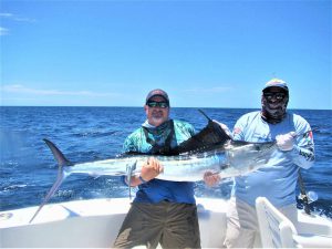 Catch and release 120 and 140 pound Striped Marlin in Cabo San Lucas on 8/24/21