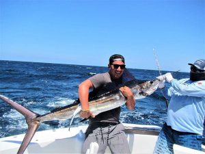 Catch and release 100 pound Striped Marlin in Cabo San Lucas on 9/1/21