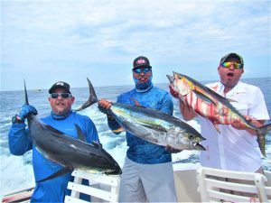 Caught several Yellowfin Tuna in Cabo San Lucas on 9/16/21