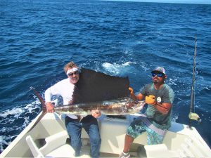 caught and released 100 pound Pacific Sailfish in Cabo San Lucas on 9/26/2021