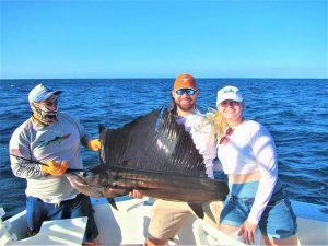 Caught and released 80 lb Pacific Sailfish in Cabo San Lucas on 9/27/21