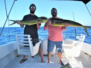 Caught seven Dorado in Cabo San Lucas on 10/1/21