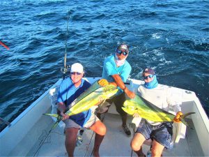 caught eleven Dorado in Cabo San Lucas on 10/25/2021