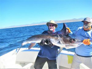 Caught and released a 130 LB. STRIPED MARLIN in Cabo San Lucas on 11/1/2021