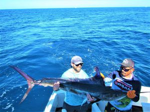 Caught and released a 100, 110 AND 130 LB. STRIPED MARLIN in Cabo San Lucas on 11/4/2021