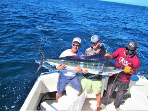 Caught and released a 100, 120, 120 AND 140 LB. STRIPED MARLIN in Cabo San Lucas on 11/5/2021