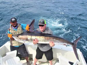 Caught and released a 100, 110 and 140 LB. STRIPED MARLIN in Cabo San Lucas on 11/8/2021