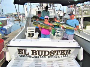 Caught four Dorado in Cabo San Lucas on 11/16/2021