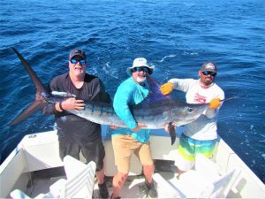 Catch and release 90 and 130 pound Striped Marlin in Cabo San Lucas on 11/19/2021