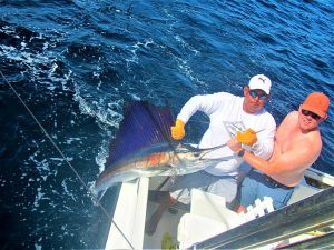 Caught and released a 100 LB. Pacific Sailfish in Cabo San Lucas on 11/21/2021