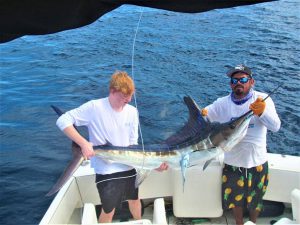 Caught and released 100, 110 and 120 LB. Striped Marlin in Cabo San Lucas on 11/24/2021