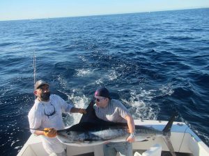 Caught and released two Striped Marlin in Cabo San Lucas on 12/28/2021
