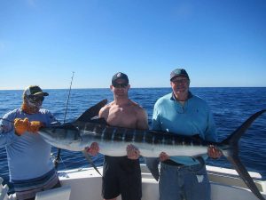 Caught and released 110 and 120 LB. Striped Marlin in Cabo San Lucas on 1/5/2022
