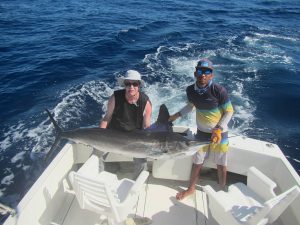 Caught and released 140, 120 and 140 LB. Striped Marlin in Cabo San Lucas on 1/15/2022