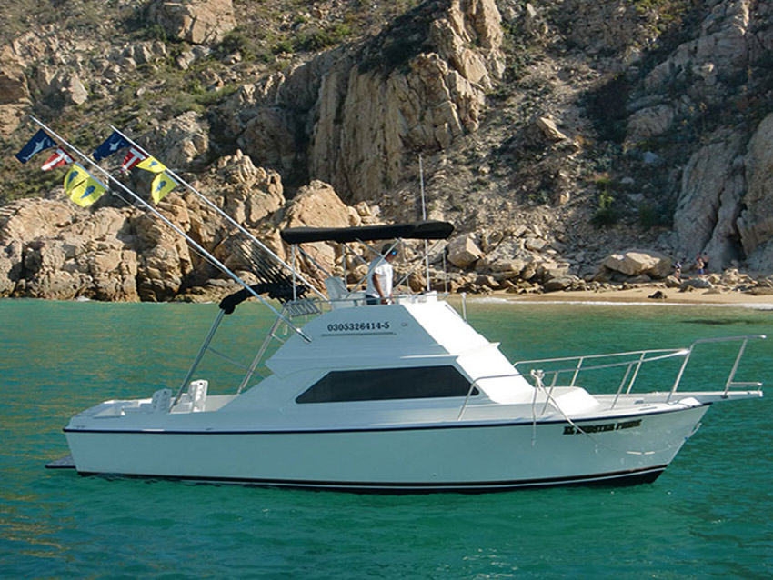 Cabo San Lucas Sport Fishing Charter Boat Selection El Buster